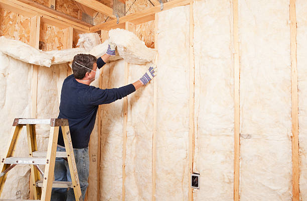 Best Wall Insulation Installation in Edgerton, OH